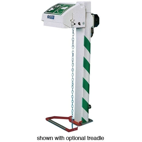 Freeze Protected Emergency Eyewash Station, Pedestal Mount, Closed ABS Bowl, Galvanized Pipe, 120v, C1D2