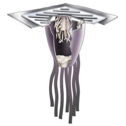 48" X 36" X 38" Oil & Sediment Ultra-Drain Guard, Ultimate Model®