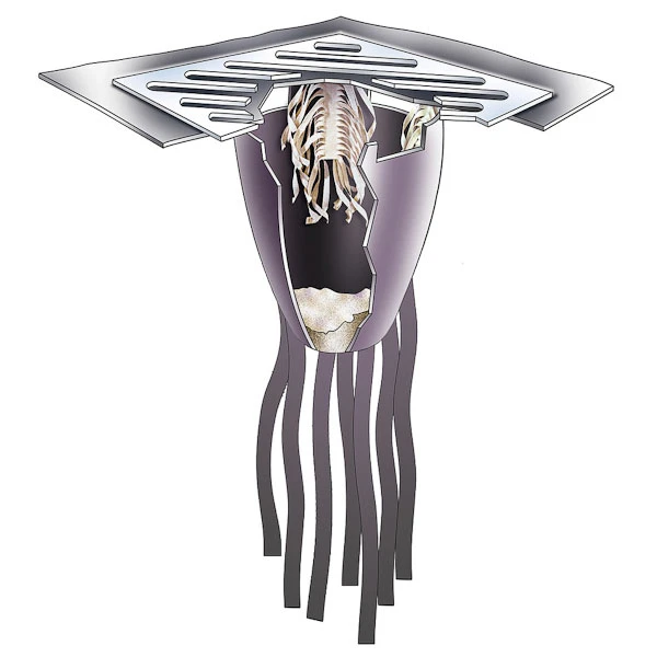 48" X 36" X 38" Oil & Sediment Ultra-Drain Guard, Ultimate ModelĀ®